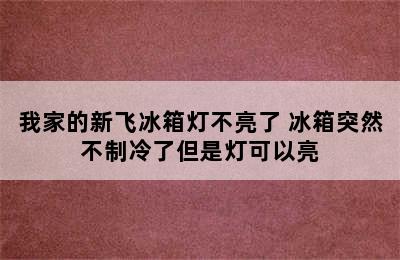 我家的新飞冰箱灯不亮了 冰箱突然不制冷了但是灯可以亮